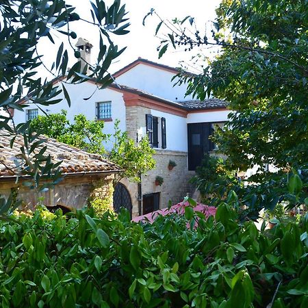 시비타노바 마르셰 Antico Casale Fossacieca B&B 외부 사진